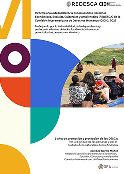 VI Informe de la Relatora Especial sobre los Derechos Econmicos, Sociales, Culturales y Ambientales (REDESCA)