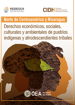 Derechos econmicos, sociales, culturales y ambientales de pueblos indgenas y afrodescendientes tribales del Norte de Centroamrica y Nicaragua