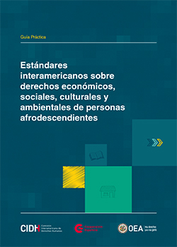 Estndares interamericanos sobre derechos econmicos, sociales, culturales y ambientales de personas afrodescendientes