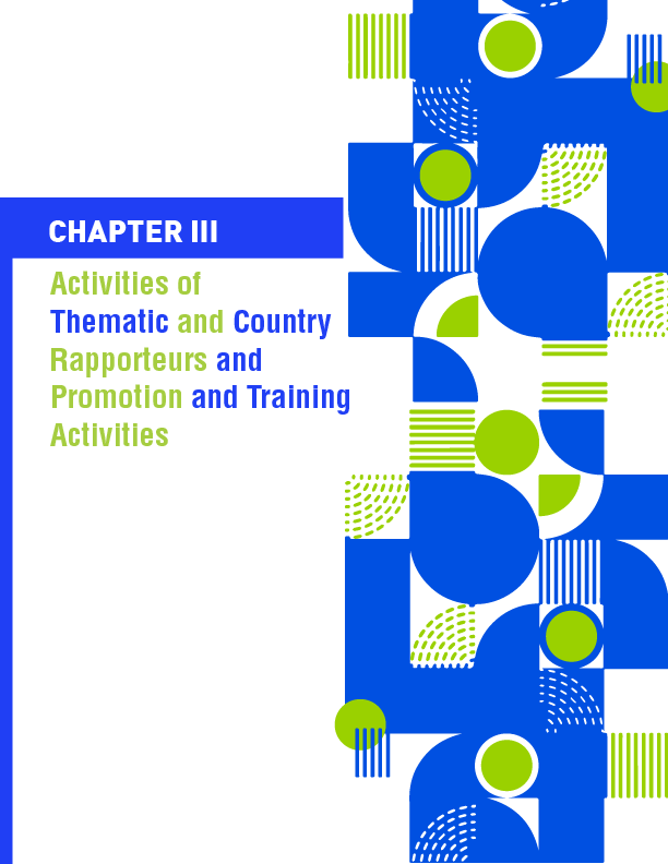 Activities of thematic and country rapporteurs and promotion and training activities